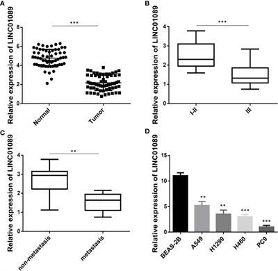 LINC01089 Inhibits Tumorigenesis and Epithelial–Mesenchymal Transition of Non-small Cell Lung Cancer via the miR-27a/SFRP1/Wnt/β-catenin Axis